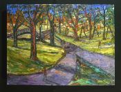 Central Park With Forked Path